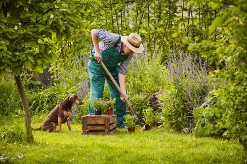 Waste management and debris removal after tree surgery