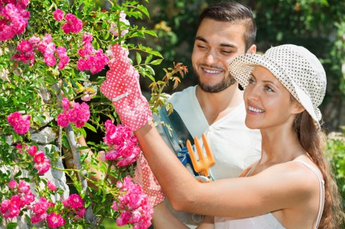 Tree surgery website accessibility for Battersea users