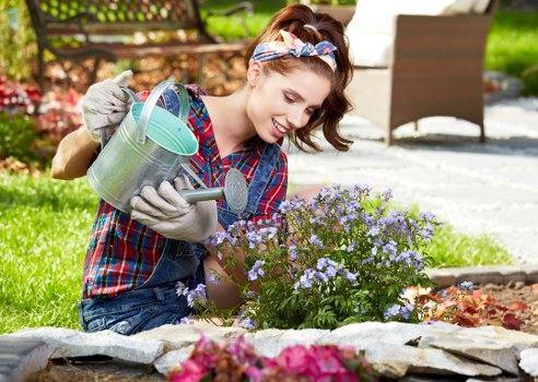 Local hedge trimming service for Battersea homes and boundaries