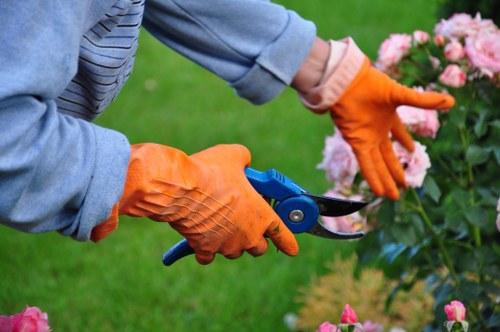 Tree surgeon preparing a transparent quote for a Battersea garden tree job