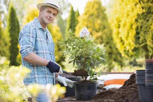 Accessibility support for Battersea tree care website visitors