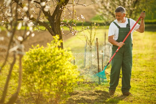 Professional pruning to reduce a tree canopy near Battersea properties